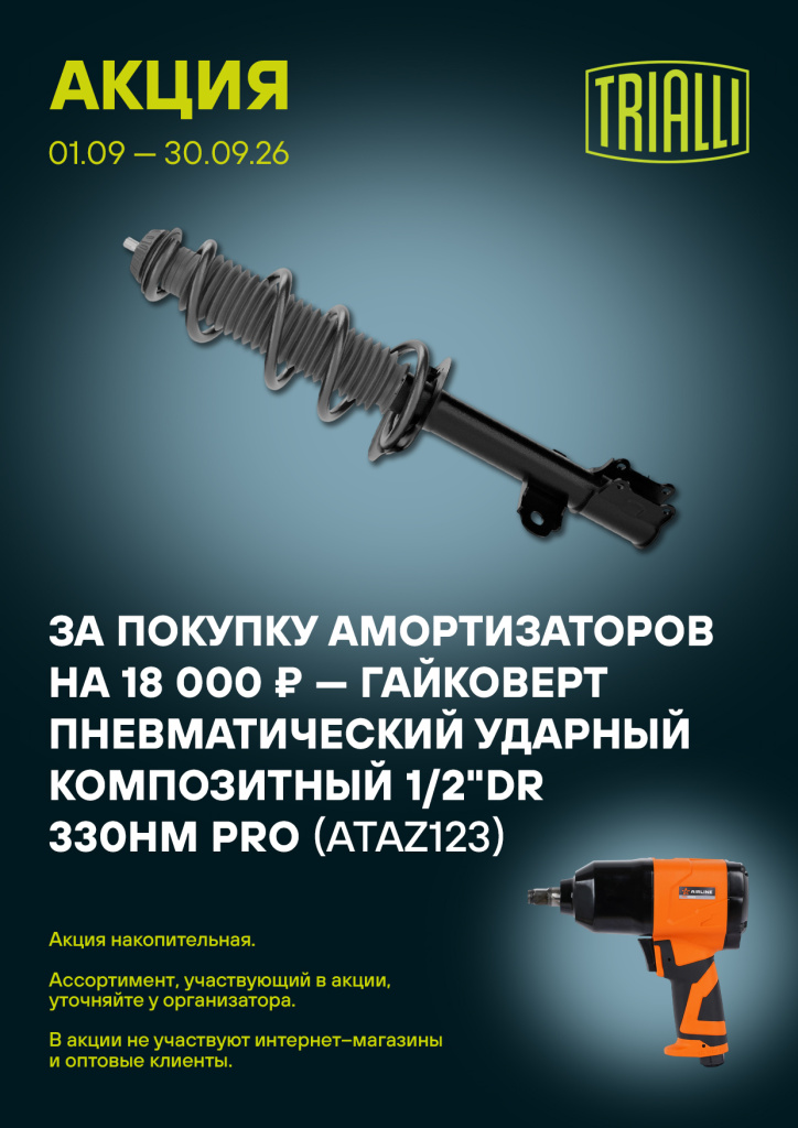 Trialli Амортизатор 09.26.jpg Trialli Амортизатор 09.26.jpg
